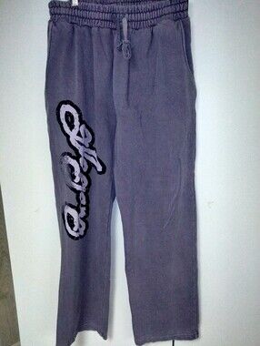 Men's Purple  Drawstring Pants with Side Script